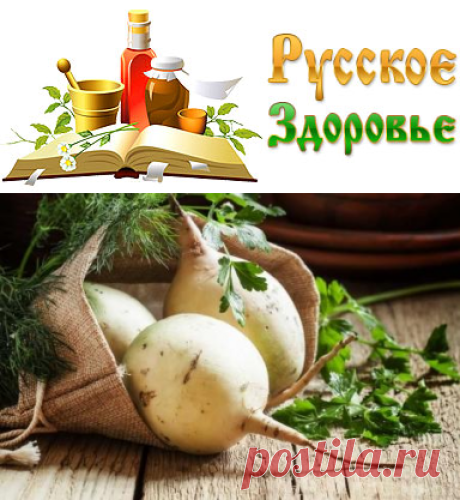 Полезные свойства репы