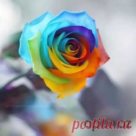 Как правильно сочетать одежду?