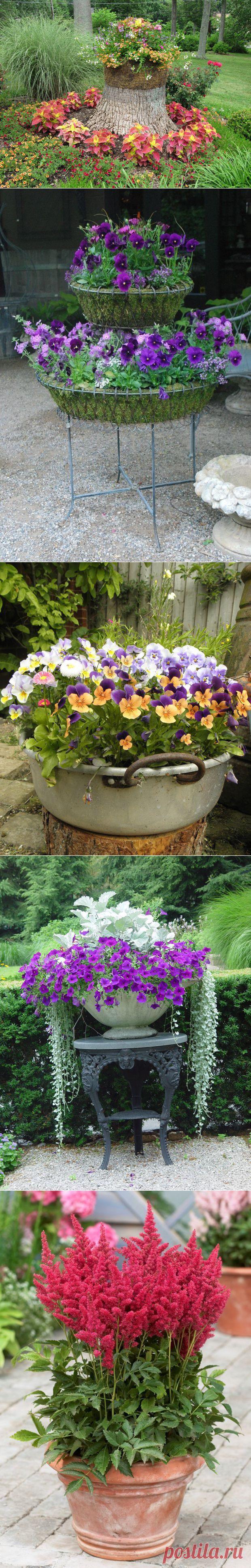 Контейнерные сады.