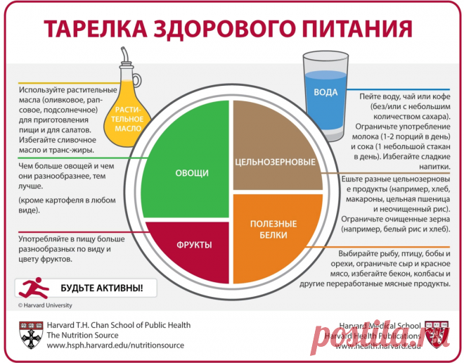 Построение здорового и сбалансированного питания с помощью 