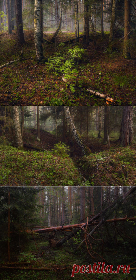 35PHOTO - Дмитрий Алексеев - Вечерком