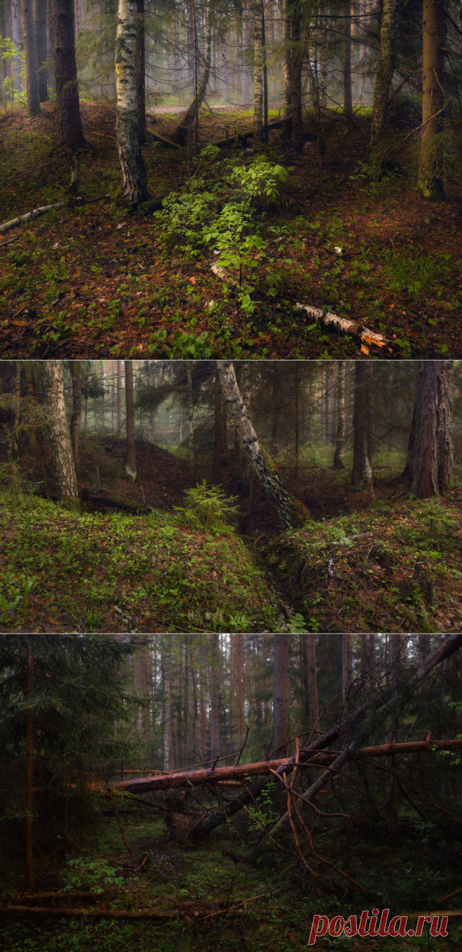 35PHOTO - Дмитрий Алексеев - Вечерком