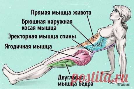Упражнение, которое поможет сжечь жир и исправить осанку &amp;#9786;