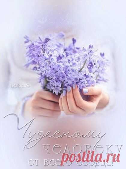 (1) Pinterest