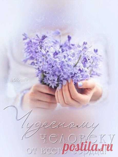 (1) Pinterest