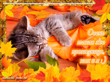 (8) Мой Мир@Mail.Ru