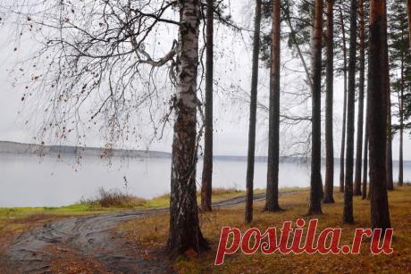 ФОТОМАСТЕРСКАЯ ПРИРОДЫ
Галина Чусовитина