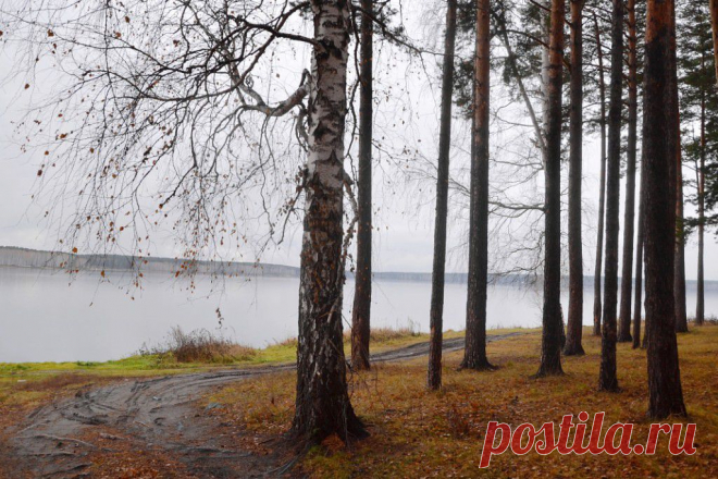 ФОТОМАСТЕРСКАЯ ПРИРОДЫ
Галина Чусовитина