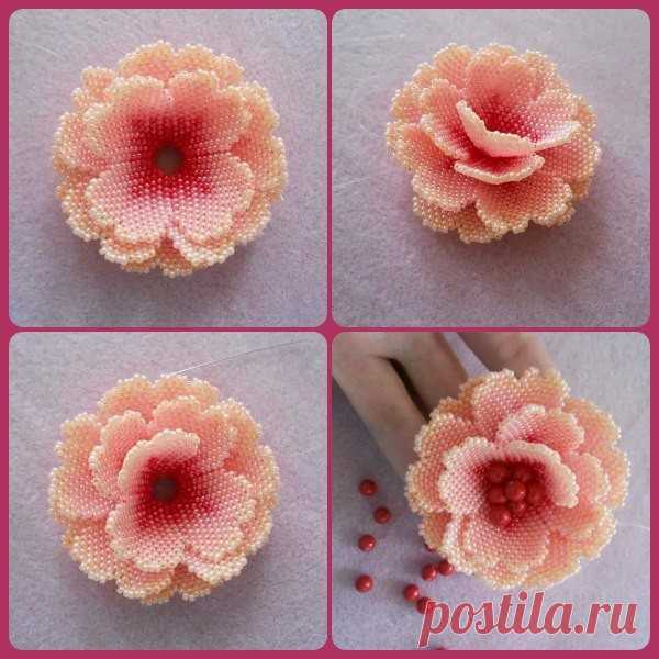 Цветы из бисера Цветы из бисераВыбирайте градиентный переход цвета в нужном вам цветовом оттенке.