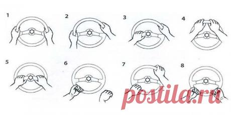 Классный психологический тест: Узнай характер водителя по положению рук на руле! » ФАН ПРЕССА - интересные новости и позитив