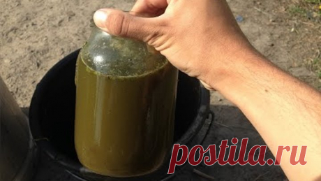 САМОЕ ЛУЧШЕЕ ОРГАНИЧЕСКОЕ УДОБРЕНИЕ / КАК СДЕЛАТЬ УДОБРЕНИЯ В ДОМАШНИХ УСЛОВИЯХ