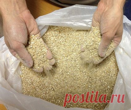 Как сделать домашнее пиво из солода, хмеля, воды и дрожжей