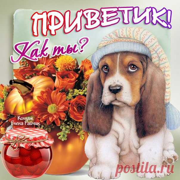 Открытки Привет парню  Музыкальная открытка Привет