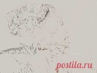 цитата держи_меня_крепко : МАССАЖ КАГАО. (23:34 29-03-2014) [3140201/319087845] - svetlana.vashuk61@mail.ru - Почта Mail.Ru