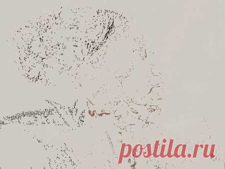 цитата держи_меня_крепко : МАССАЖ КАГАО. (23:34 29-03-2014) [3140201/319087845] - svetlana.vashuk61@mail.ru - Почта Mail.Ru