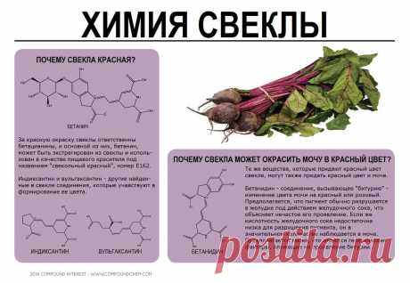Химия свеклы