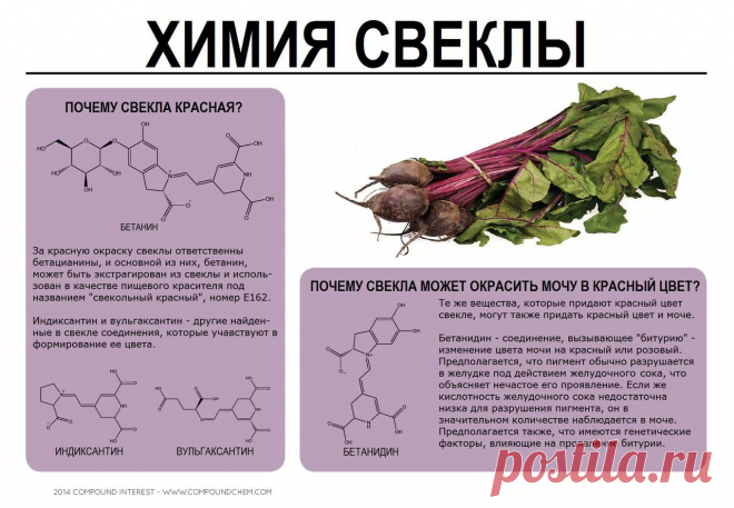 Химия свеклы