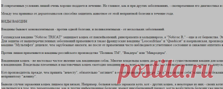 Вакцинация кошек. Виды вакцин, правила проведения