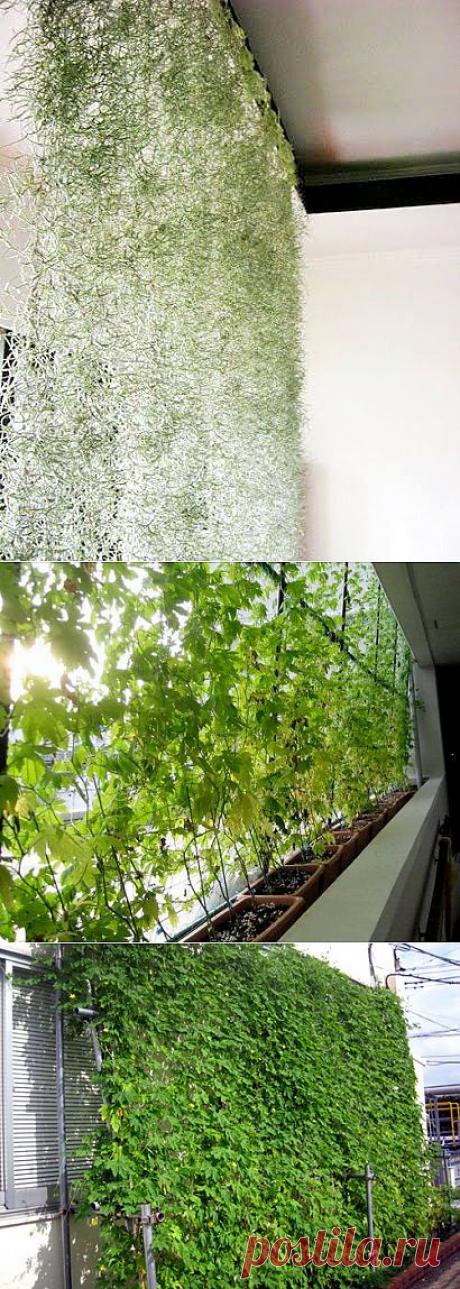 Живые занавески / Цветы / Модный сайт о стильной переделке одежды и интерьера