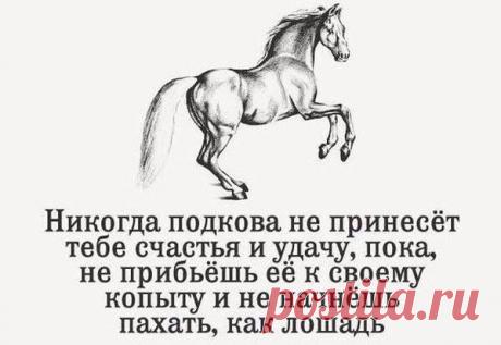 (36) Диетолог - Фото