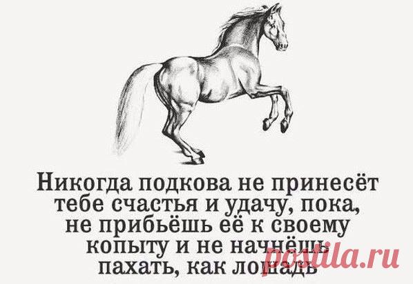 (36) Диетолог - Фото