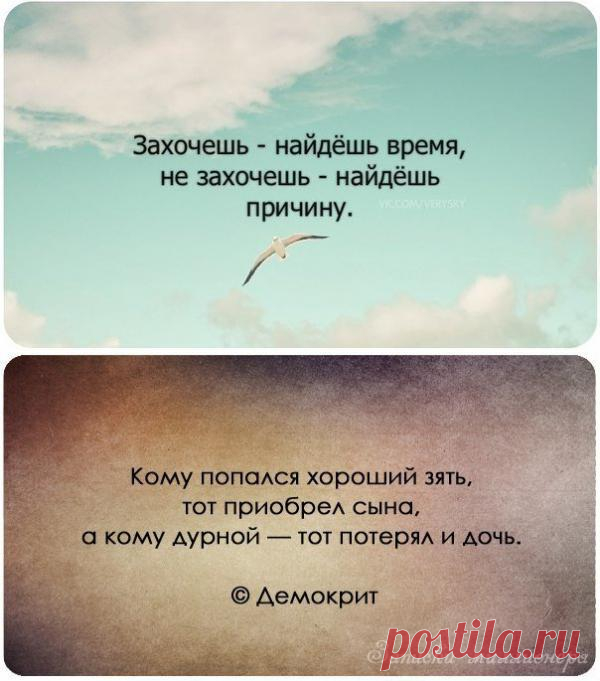 Чем примитивнее человек, тем более высокого он о себе мнения. (Эрих Мария Ремарк).
Цитаты великих людей.