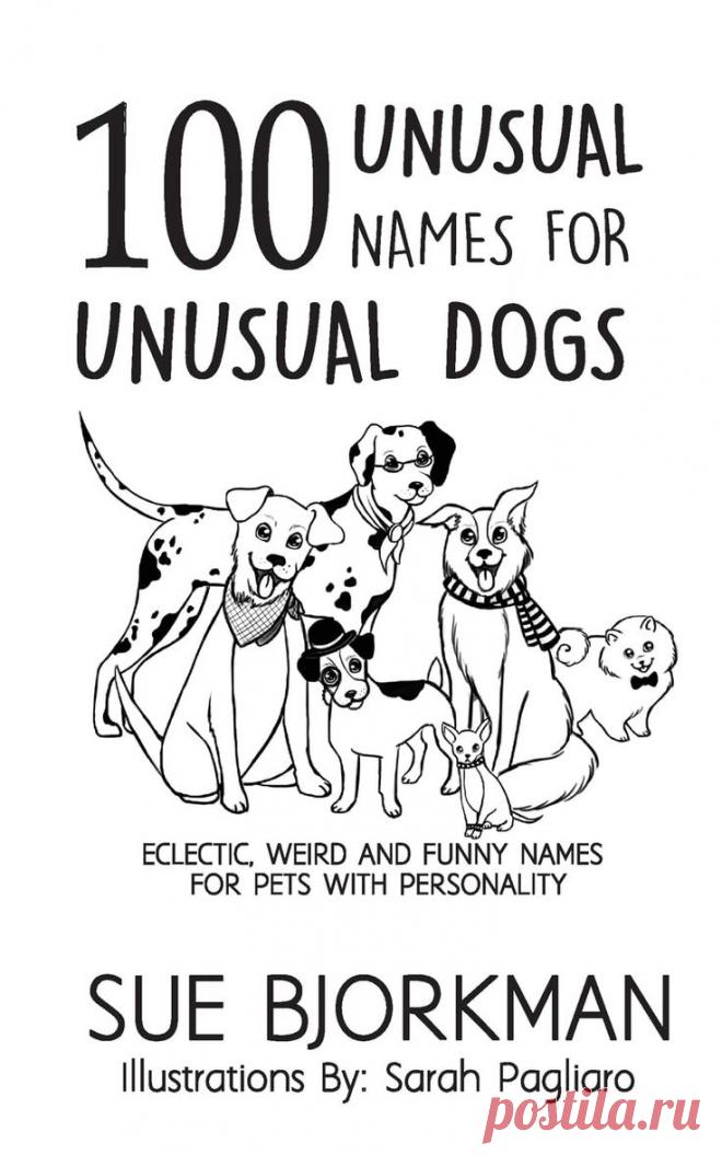 the book cover for 100 unusual names for unusual dogs by sue borkman, illustrations by sarah pagliaro