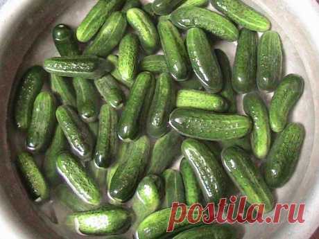 Что нужно знать, консервируя огурцы+«Латгальский салат»