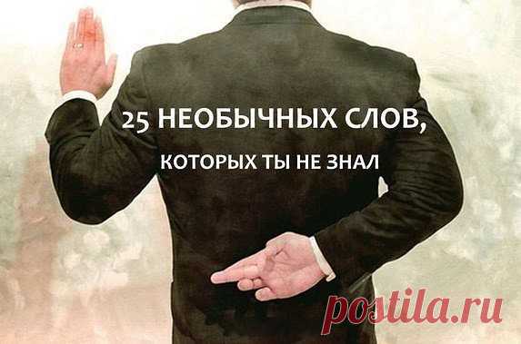 25 НЕОБЫЧНЫХ СЛОВ, КОТОРЫХ ТЫ НЕ ЗНАЛ:

1. Фрик – человек, отличающийся ярким, необычным, экстравагантным внешним видом и вызывающим поведением, а также обладающий неординарным мировоззрением, которое является результатом отказа от социальных стереотипов
2. Экивоки – двусмысленные намеки, увертки
3. Тролль – лицо в интернете, совершающее провокационные действия
4. Девиант – человек не соответствующий норме
5. Катарсис – изменение сознания через сильные переживания
6. Атара...