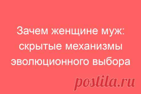 Зачем женщине муж: скрытые механизмы эволюционного выбора