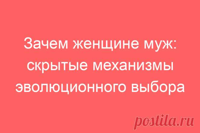 Зачем женщине муж: скрытые механизмы эволюционного выбора
