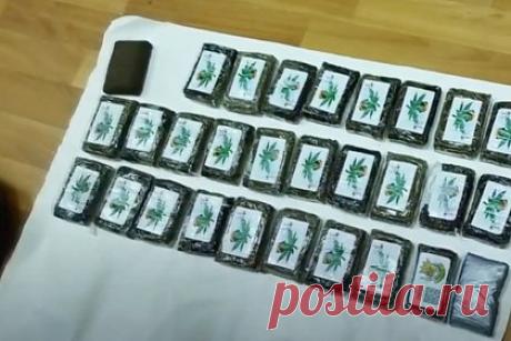 В мордовском лесу задержали двух наркокурьеров с портфелем гашиша. Республике Мордовия задержали двух россиян 29 и 30 лет, подозреваемых в незаконном обороте наркотических средств. жители Вологды прибыли в лесополосу для оборудования тайника с наркотиками. С собой у них был портфель с 30 брикетами гашиша, общей массой свыше 2,8 килограмма.