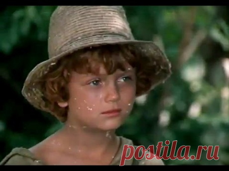 «Приключения Тома Сойера и Гекльберри Финна», 1-я серия, 1981