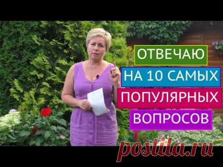 ОТВЕЧАЮ НА ВСЕ ВАШИ ВОПРОСЫ, НОВАЯ РУБРИКА!!!