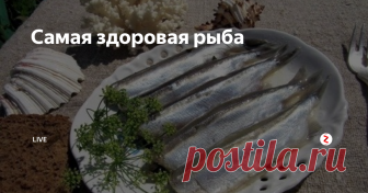 Самая здоровая рыба Все мы наслышаны о том, как полезна семга, форель, лосось. Но заметим, что только выросшая на воле, а не та, что выращивается в специальных бассейнах и питается комбикормом. Эксперты утверждают, что у данных элитных сортов есть серьезный конкурент среди бюджетных и доступных видов рыбы, который тоже является хорошим источником омега-3 жирных кислот.
Название этой гордой рыбы — мойва.
Рыба мойва зн