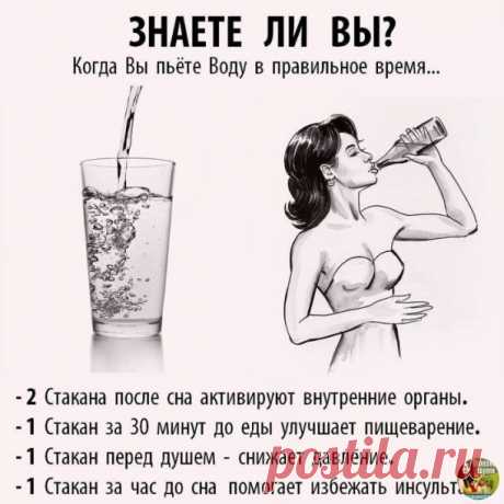 Воду надо пить правильно