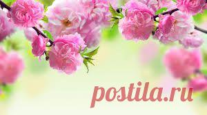 весна фон - Пошук Google