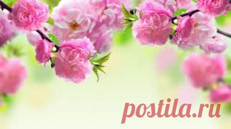 весна фон - Пошук Google