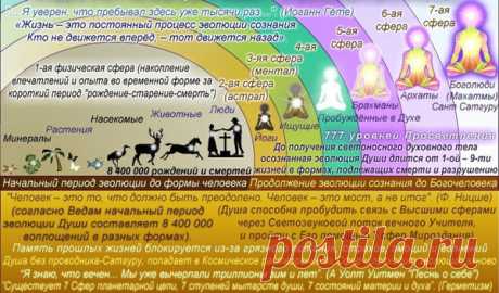 ПОСЛАННИКИ АНДРОМЕДЫ (Апофеоз борьбы Светлых и темных сил на Зем – TERRA-ALTAIR    , пользователь Светлана Сушкевич | Группы Мой Мир