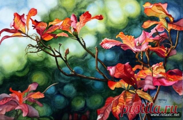 Красота в квадрате — акварельные сады Марни Вард