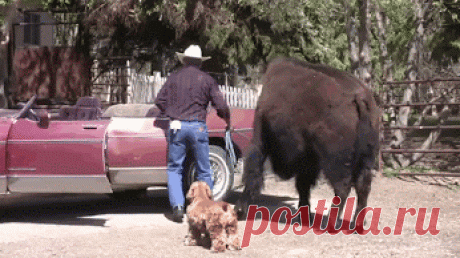 Gotta LAUGH!! - Google+