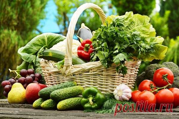 Благоприятные дни для работы на огороде по календарю садовода и огородника на август — Дачный участок