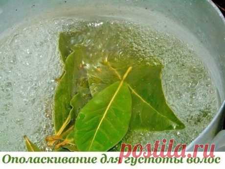 СЕКРЕТНЫЙ РЕЦЕПТ ОТ ТРИХОЛОГА (врач-специалист по волосам)
Красивые волосы.
Рецепт несложный, все можно купить любой в аптеке.
Берём 1,5-2 ст. л. кондиционера для волос (или бальзама), не самого дорогого, лучше даже отечественного, бюджетного и добавляем в него по 1 ампуле витаминов группы В из аптеки:
-B1 Тиамин
-B2 Рибофлавин
-B3 Никотиновая кислота
-B6 Пиридоксин
-B12 Цианокобаламин
+ 1 ампулу сока алоэ
(Витамины группы В способствуют росту и укреплению волос, предотвращая их выпадение.