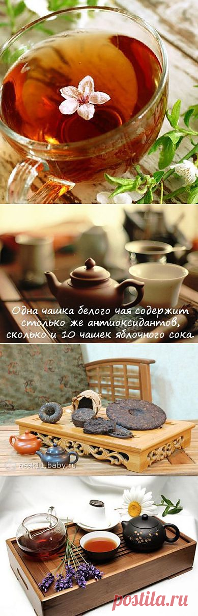 Чай пуэр только входит в моду в России. Тогда как в традиционной китайской медицине пуэр применяется как средство от всех болезней. Производители чая говорят о том, что при регулярном употреблении пуэра можно за три месяца сбросить 12 килограммов лишнего веса. Пуэр используют и как омолаживающее средство – источник антиоксидантов, которые используются организмом для восстановления клеток. Этот напиток обладает доказанными бактерицидными свойствами. Он может снизить уровень сахара в крови, помочь