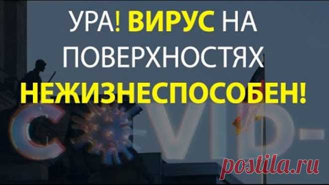 С ЭТИМ ВАЖНЫМ ОТКРЫТИЕМ МОЖНО ВЕРНУТЬСЯ К НОРМАЛЬНОЙ ЖИЗНИ. Официальное открытие ученых...