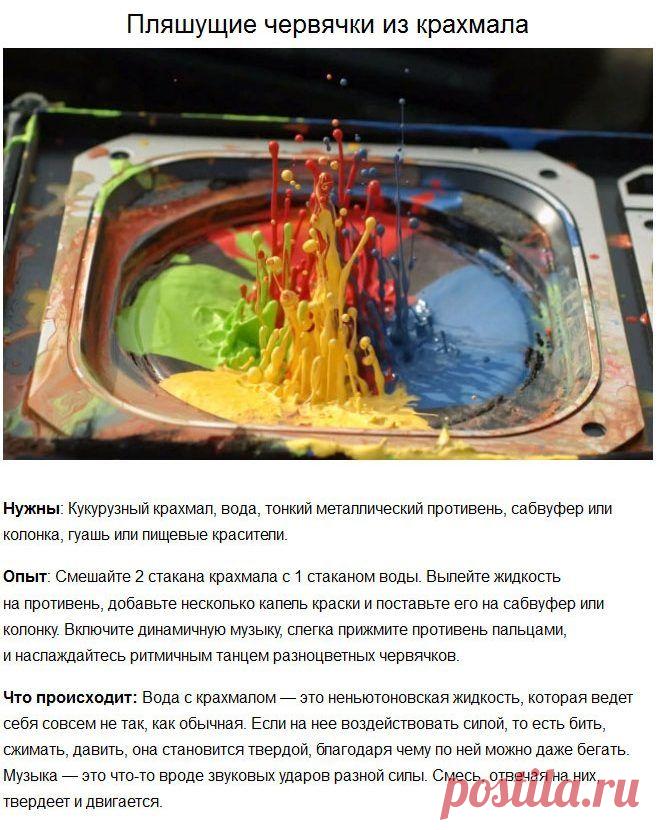 Удивительные опыты для детей / Малютка