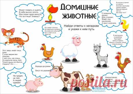 Развивающие картинки (39 фото) ⭐ Забавник