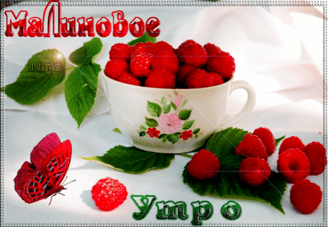 131462600_9829364.gif (660×457)