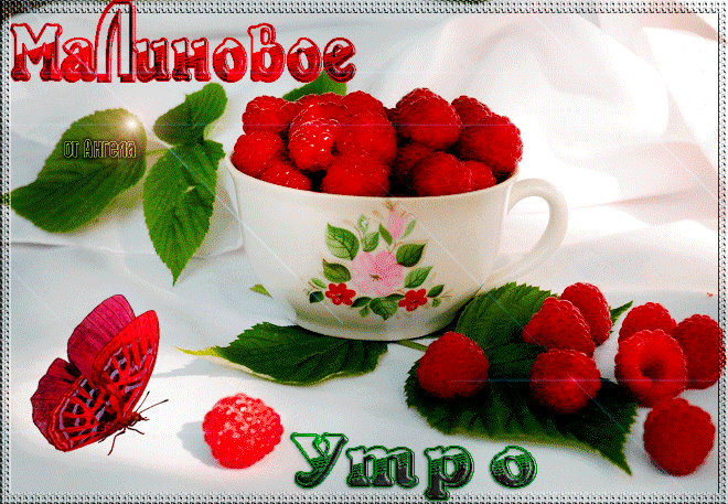 131462600_9829364.gif (660×457)