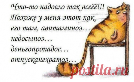 (15) Одноклассники